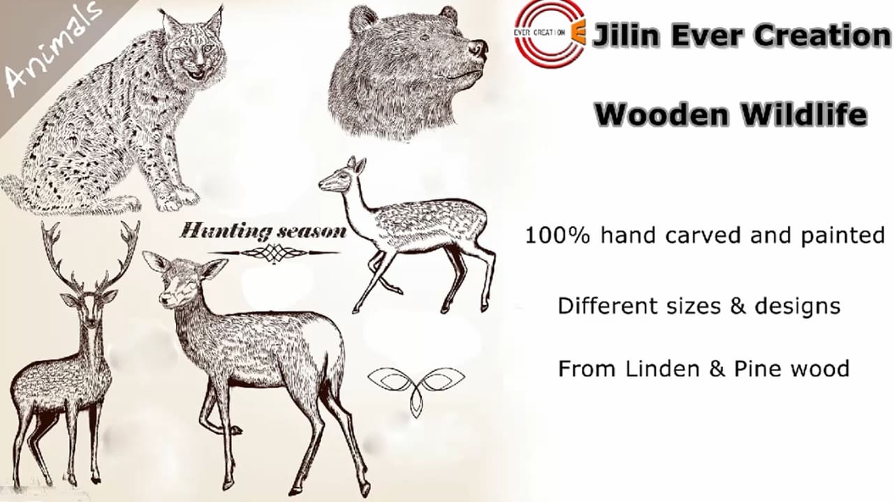 Deer & Bear