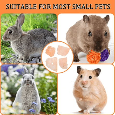 salt licks for pets