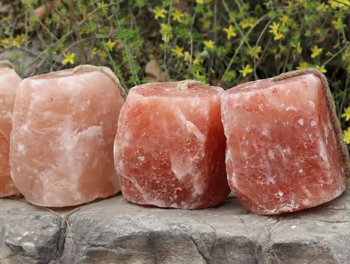 salt lick block