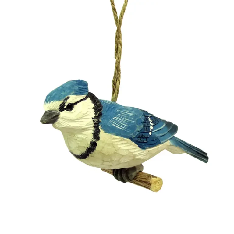 Bird Blue Jay