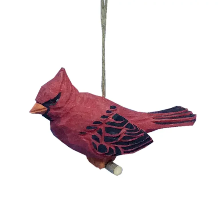 Bird Cardinal